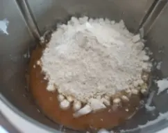 Step <p>Agregar 300 gr de harina, el zumo de naranja, el vino, el huevo y la ralladura de limón.</p><p>Batir 2 min / Vel 5</p> illustration