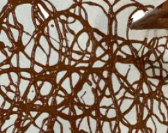 Step <p><span style="font-weight: normal;">Haga un corte muy pequeño en la punta de la manga pastelera. Dibuje sobre un papel para horno espirales, círculos, lineas rectas o curvas, ondas...</span></p> illustration