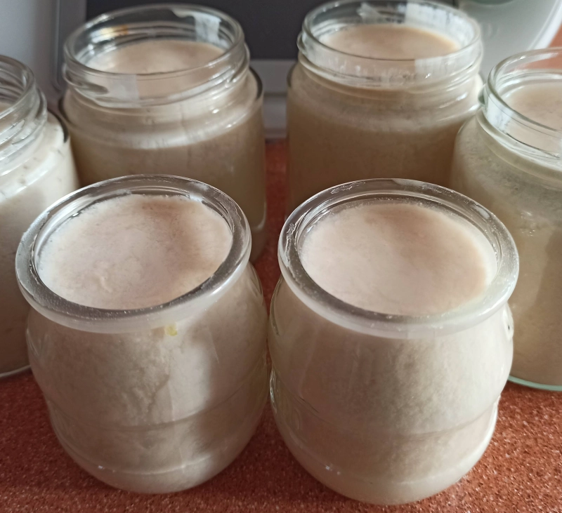 YOGUR GRIEGO XXL y YOGUR NATURAL XXL