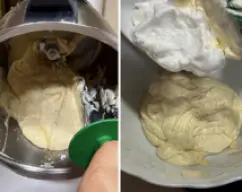 Step <p><span style="font-weight: normal;">Saque del vaso la mezcla y viértala en un bol mediano, luego agregue poco a poco las claras batidas a punto de nieve y mezclar de forma envolvente y con movimientos suaves hasta que quede bien integrado.</span></p> illustration