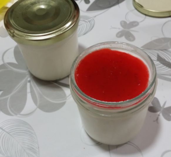 hacer yogur linear unit thermomix 31