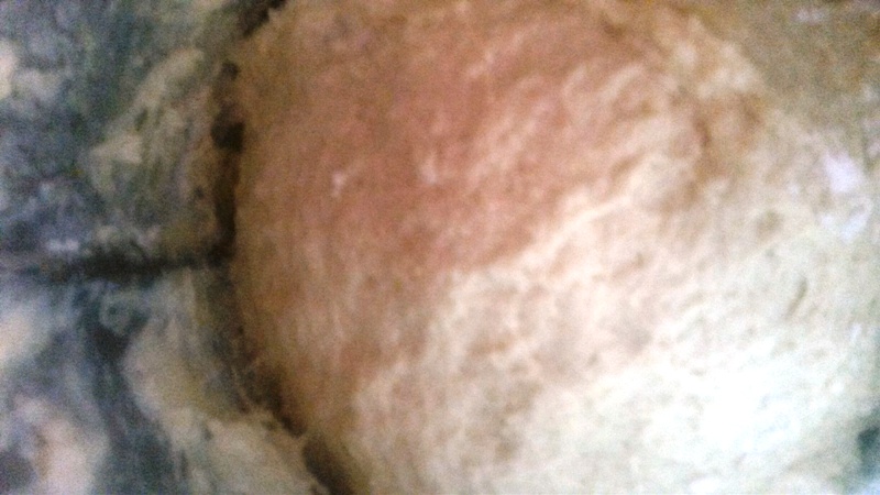 Torta de sal o azúcar para desayuno o merienda con Thermomix® de la abuela Antonia