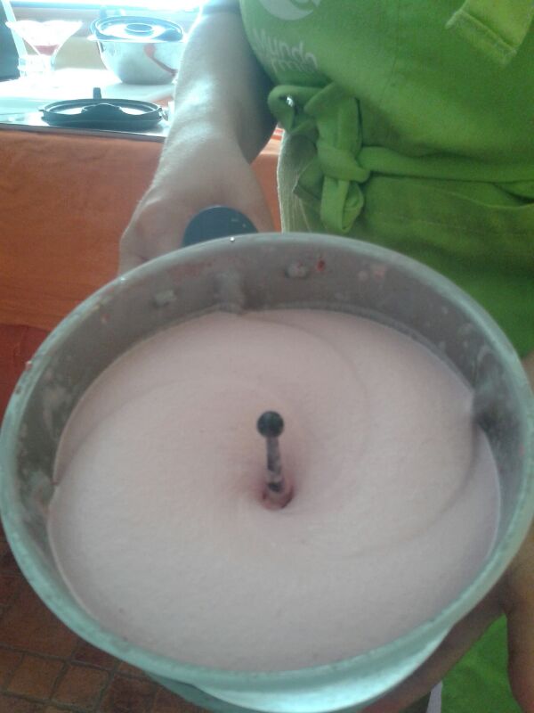 Helado cremoso de fresas, leche evaporada con Thermomix® 
