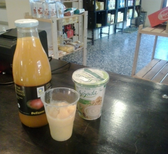 Helado de zumo de mango y Yogur de soja Taller ecologico