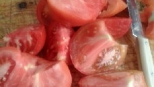 Conservas de tomate natural en la Thermomix® 